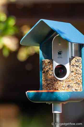 The best AI gadgets in 2021 to look forward to - Gadget Flow