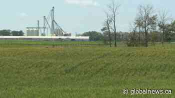 Farmland values rise across Saskatchewan