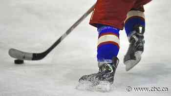 Greater Toronto Hockey League cancels rest of 2020-21 season due to COVID-19 - CBC.ca