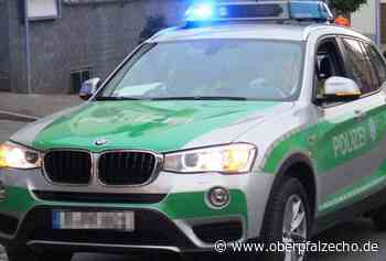 Jugendliche bewerfen Hunde mit Steinen - OberpfalzECHO