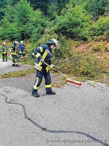 Steinen: Es herrscht Kontinuität an den Abteilungsspitzen - Verlagshaus Jaumann - www.verlagshaus-jaumann.de
