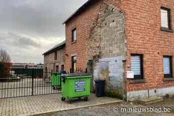 Cannabisplantage van ruim 900 plantjes opgeruimd in Rijkel - Het Nieuwsblad