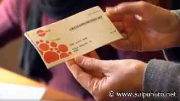 Soliera, nel weekend nuova distribuzione di buoni spesa per 190 nuclei familiari - SulPanaro | News - SulPanaro