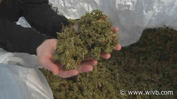 Local leaders talk imminent NYS recreational marijuana legalization