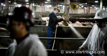 Minnesota's farms and food industry face another pandemic growing season