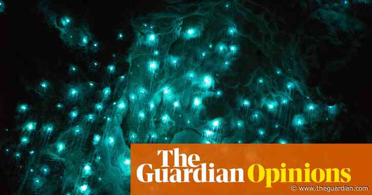 Glow-worms: as soon as you think you’ve seen them, they blink off | Helen Sullivan
