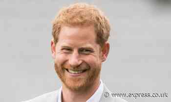 Prince Harry’s BetterUp app charges eye-watering monthly £364 subscription fee - Express
