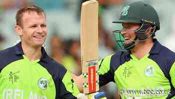Porterfield and Wilson handed coaching consultancy roles with Ireland - BBC Sport