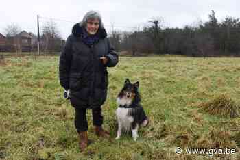 Opnieuw verzet tegen verkavelingsproject Kater@ in Mol (Mol) - Gazet van Antwerpen Mobile - Gazet van Antwerpen