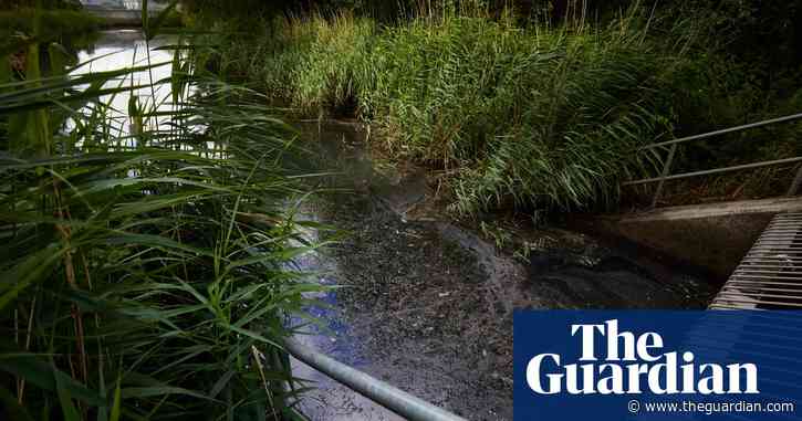 Environment minister pledges laws to cut dumping of sewage in English rivers