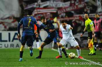 Grifo, il Padova mantiene le distanze. Ora il recupero di Fermo - Calcio Grifo