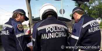 Pattuglione nei vicoli: un fermo, sei denunce e ventiquattro multe - Primocanale