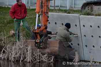 Vrijwilligers prepareren oeverzwaluwwand in Oosterbierum - Franeker Courant