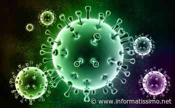 Aggiornamento situazione casi Covid a Putignano e dintorni - Putignano Informatissimo