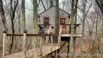 Rhode Island Man Looks To Sell Tree House After Town Orders It's Removal | WBZ NewsRadio 1030 - KFI AM 640