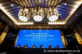 WHO-China report says animals likely source of Covid-19 - Dudley News