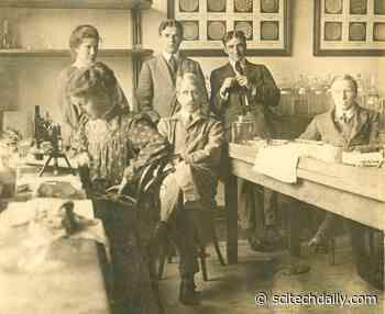 Scientists Repeat Century-Old Experiment to Reveal Evidence of Evolutionary Rescue in the Wild