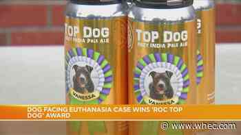 Ogden dog in euthanasia case wins 'Roc Top Dog' award
