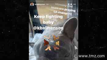 Taraji P. Henson's French Bulldog Dies After Complications from Surgery