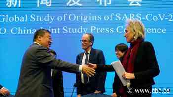 COVID-19 most likely derived from animal-to-human transmission: draft report of WHO-China study