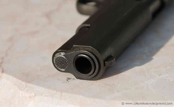House Republicans Seek to Expand Concealed-Carry After Recent Surge in Gun Violence