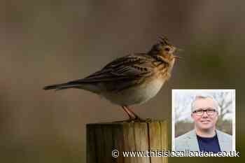 The area of East London that is a magnet for migrating birds