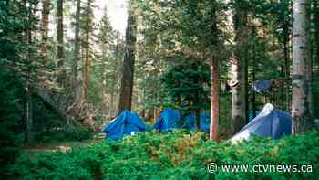 From reselling of permits to gaming the system, here's why it's so hard to get a campsite in Ontario