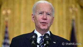 Poll: Biden approval remains steady amid struggles with immigration, foreign affairs