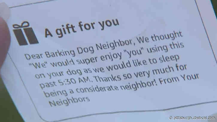 Pandemic Pettiness: Sacramento Neighbor Receives ‘Shock Collar’ in Anonymous Amazon Delivery