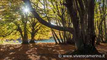 Le bellezze della natura del territorio nel terzo appuntamento di "Matelica è..." - Vivere Camerino