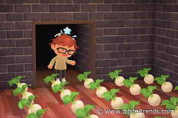 How to play the turnip Stalk Market in Animal Crossing: New Horizons