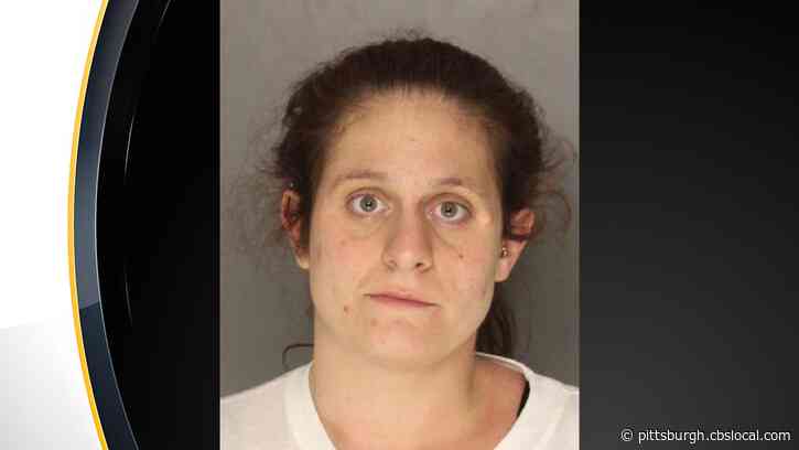 Melissa Borys Facing Charges In Hit-And-Run Of Pregnant Woman, Dog In Carnegie
