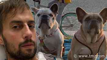 Lady Gaga's Dog Walker Out of Hospital, Had Part of Lung Removed