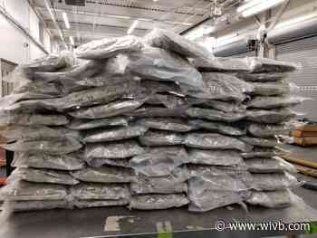 CBP officers at Peace Bridge seize more than 1,000 pounds of marijuana