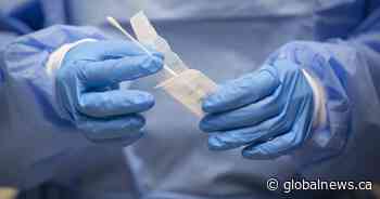 STF pressuring province, schools to start administrating COVID-19 rapid tests