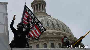 Lawmakers urge Capitol Police to hold regular press conferences, release IG report