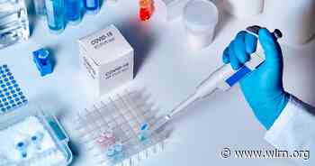 U.K. Coronavirus Variant Cases Double In Florida Over Last Week - WLRN