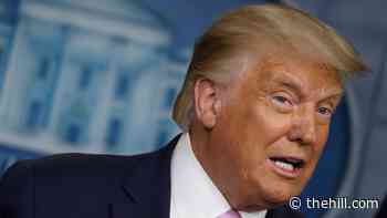 Trump targets Fauci, Birx in lengthy diatribe