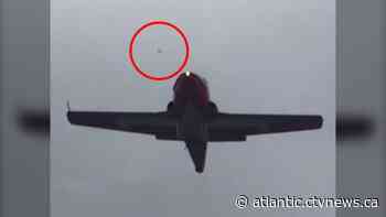 Investigation confirms bird flew into Snowbirds plane engine in crash that killed Capt. Jenn Casey