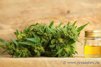 Pure Extracts: Analysten sehen Verdopplungspotenzial!, GOLDINVEST Consulting GmbH, Pressemitteilung - PresseBox
