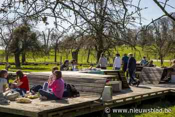 Bloesems mogen dit jaar wel bewonderd worden (al moet u wel nog even wachten)