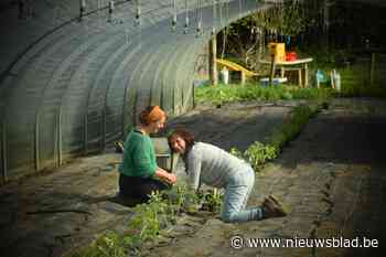 Ourosbouros wil baken van rust zijn voor mensen met burn-out