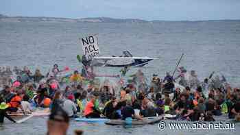 ASX in the red as AGL gas import plan rejected