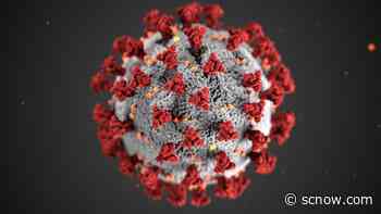 No coronavirus deaths reported Monday in SC - SCNow