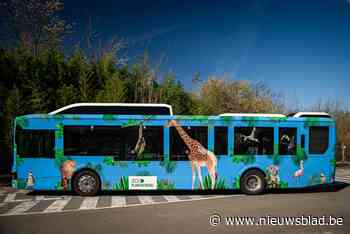 Nieuwe shuttlebussen van Planckendael rijden op CNG