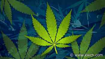 Kansas House committee passes medical marijuana legislation, moves to House vote - KWCH