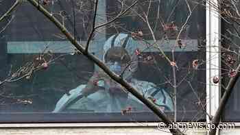 WHO report: COVID likely 1st jumped into humans from animals