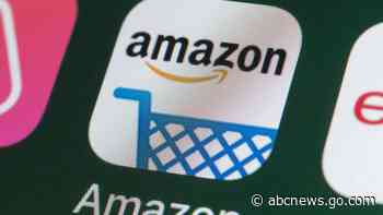 EXPLAINER: What to know about the Amazon union vote