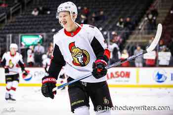 Ottawa Senators Fulfilling Role as Pests - The Hockey Writers