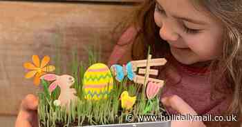 Easter food and craft kits you can get delivered right to your door - Hull Daily Mail